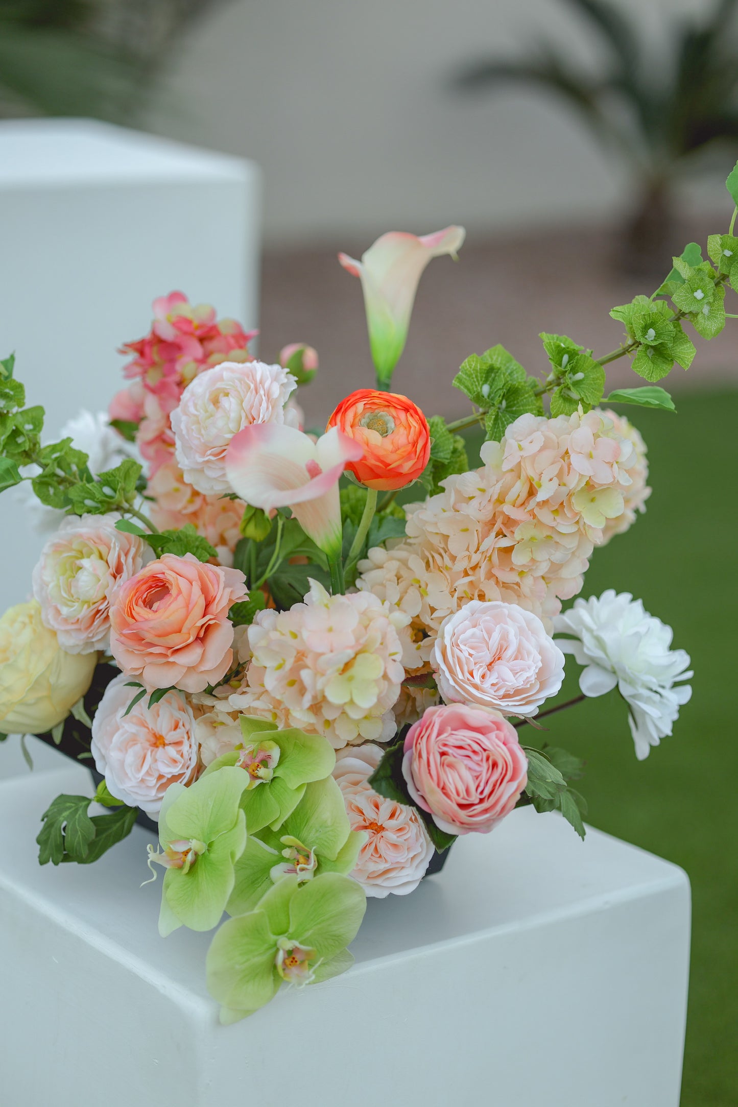 The Summer Collection