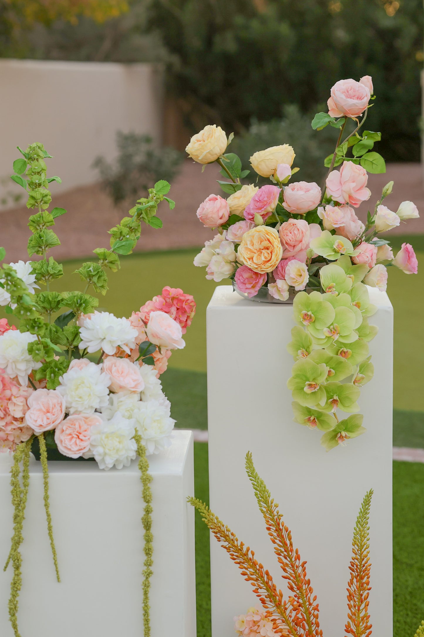 The Summer Collection