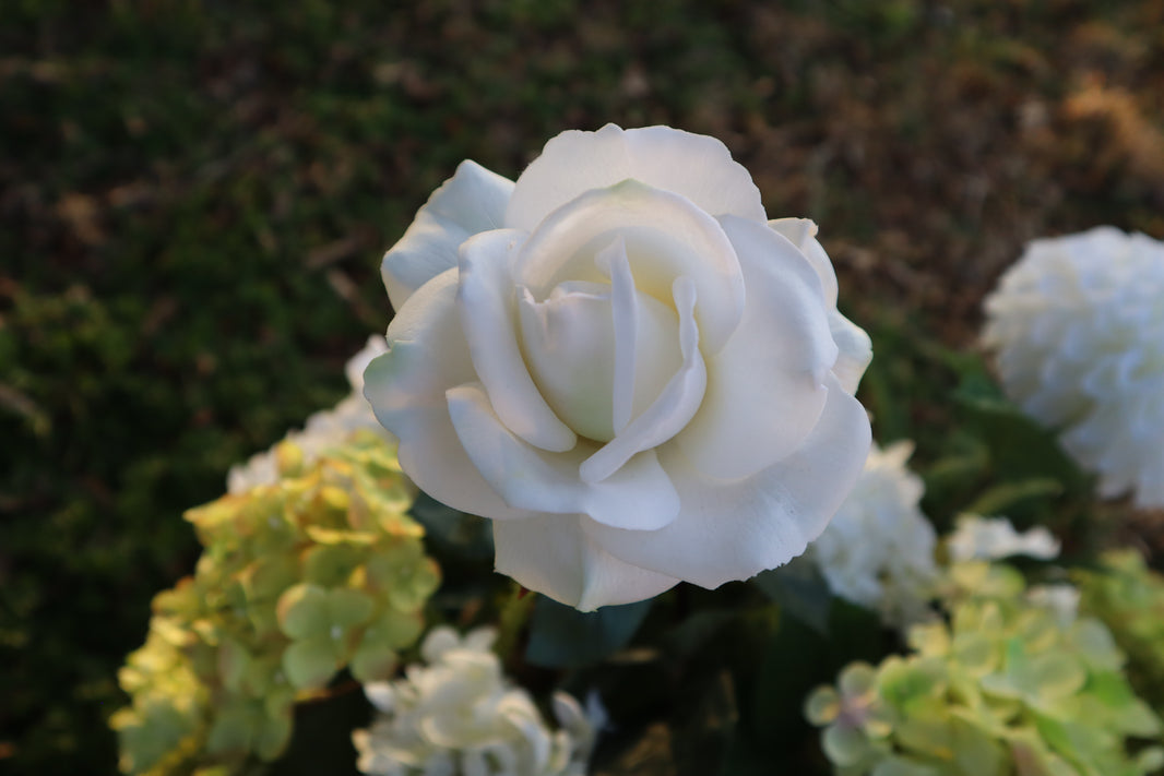 Visual Reference: High End Faux Floral Arch Rentals In Phoenix Scottsdale Arizona