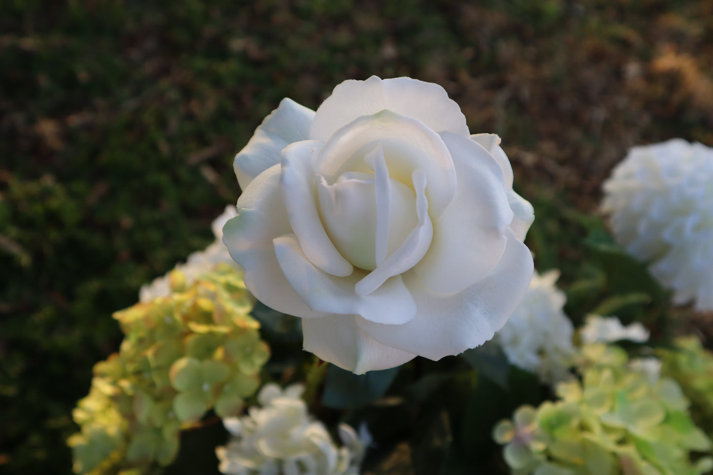 The Marlowe Aisle Flowers