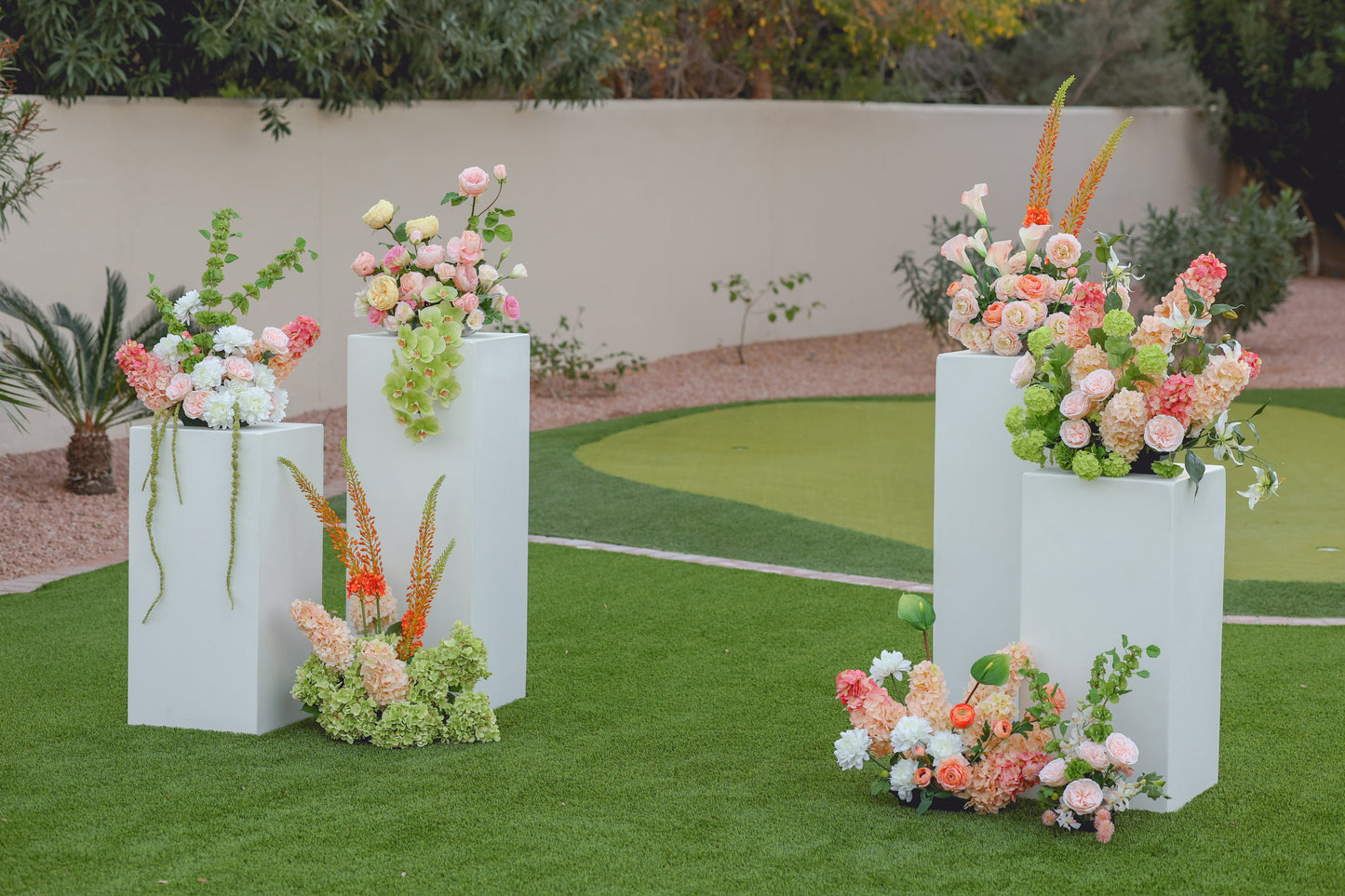 The Summer Collection