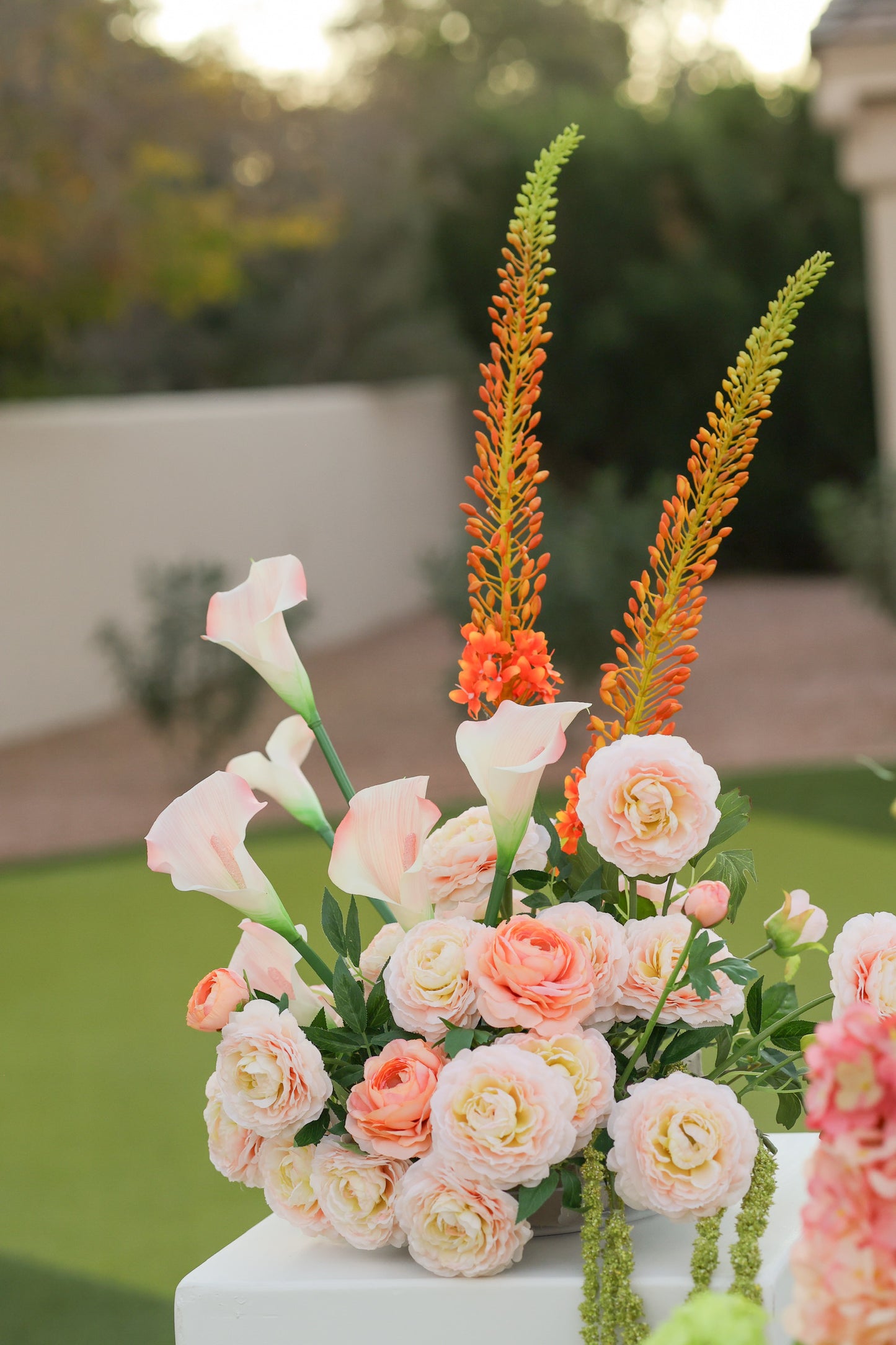 The Summer Collection